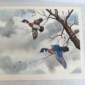 Returning Woodies BY DR. ALLEN HUGHES  print signed